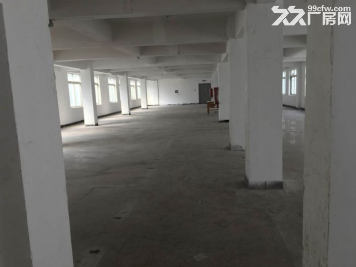 鹿城藤桥轻工园厂房出租5000平-图5