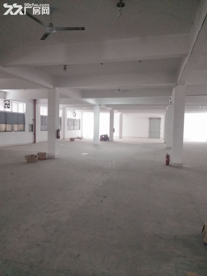 炬光园1175平方，适合仓库，马上可用-图2