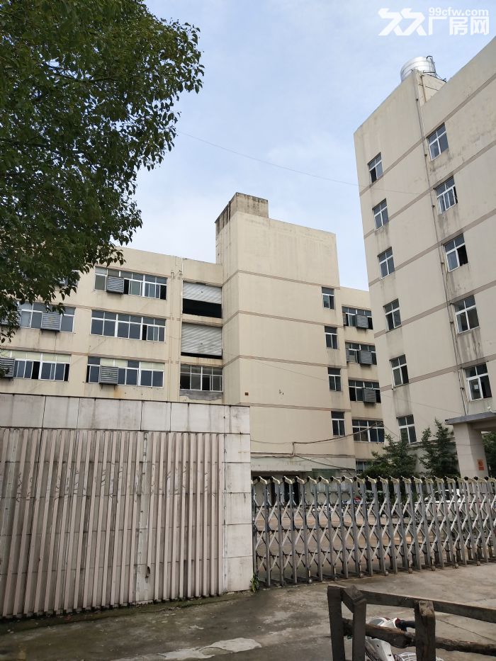 炬光园工业区1800平方，宿舍400平方-图3