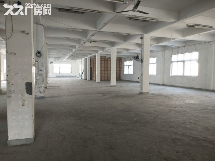 上汇1300平方，适合做眼镜，目前已经腾空。