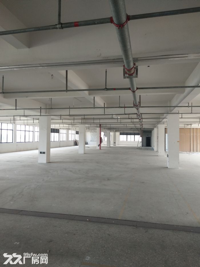 潘桥路口1楼1100平方，适合仓库，层高8米-图4