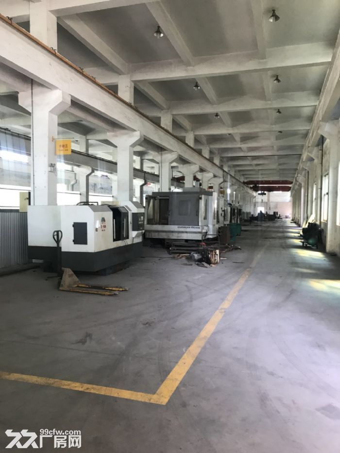 福鼎水井头工业区一楼厂房3500平米出租适合各行各业。-图3