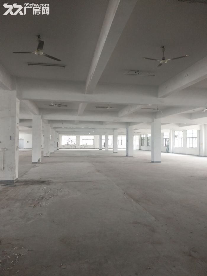 高翔厂房450平方，可做仓库，-图2