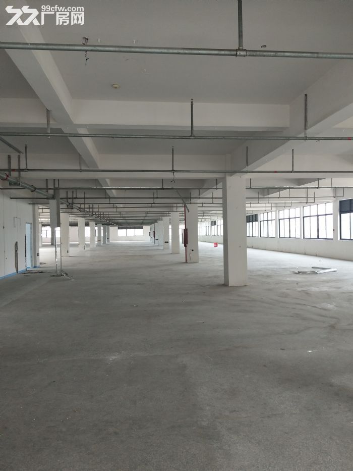 高翔厂房450平方，可做仓库，