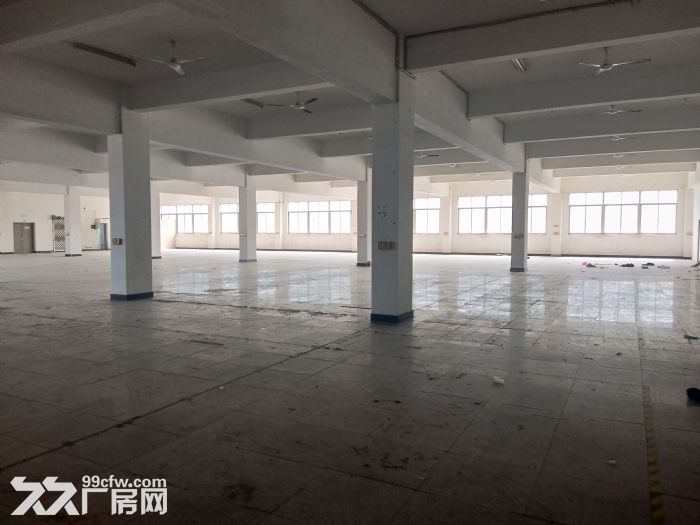 红星美凯龙附近800平方，适合仓库，办公，-图2