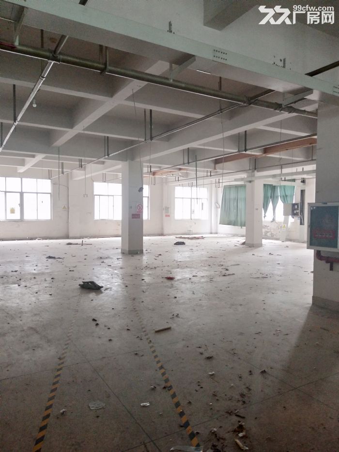 高翔标准厂房2楼800平方，可用-图2