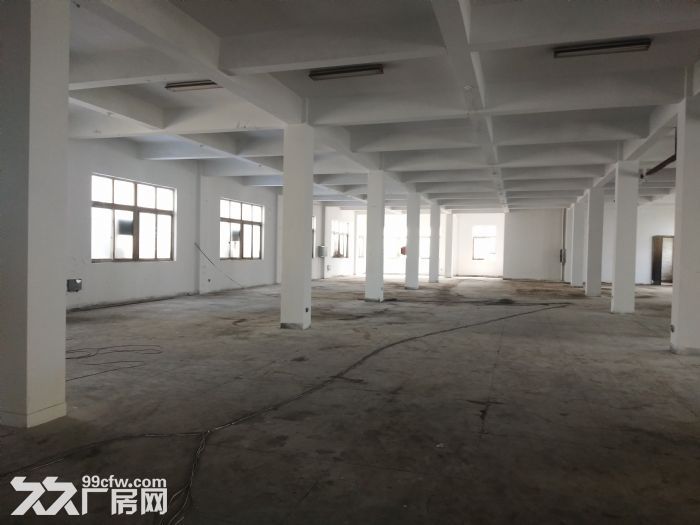 炬光园工业区1000平方，可用