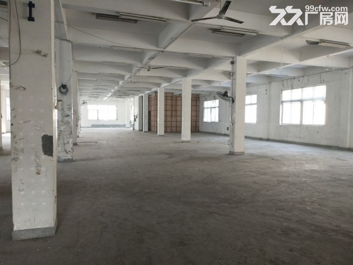 炬光园工业区1000平方，可用-图3