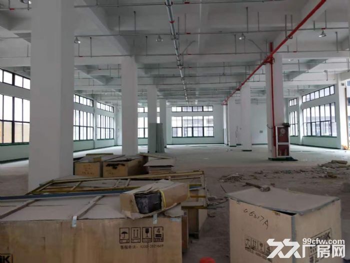 滨海独栋4000平有喷淋地坪漆货梯3吨价格15