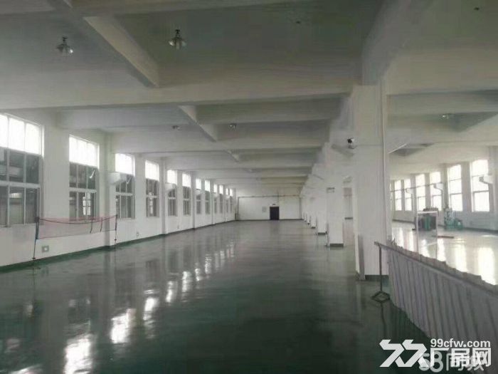 滨海独栋4000平有喷淋地坪漆货梯3吨价格15-图2