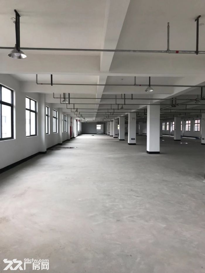瑞安莘塍工业区厂房1100平米出租，适合各种行业。-图3