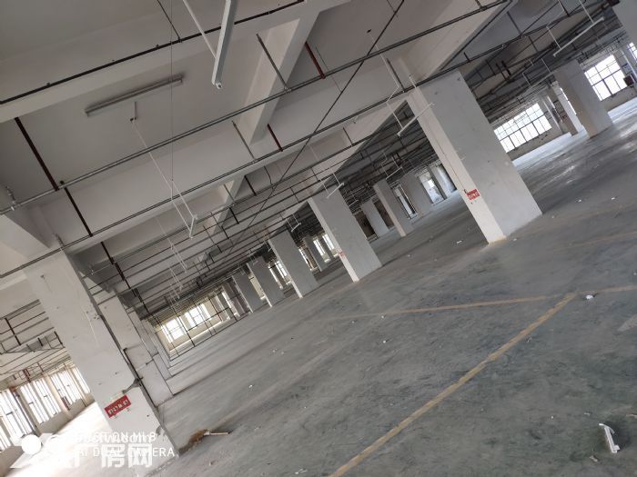 瞿溪工业区厂房出租4000平 2000平 可分租-图6