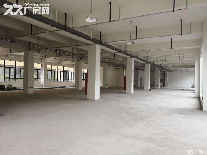 瓯海仙岩工业区厂房出租1000平-图3