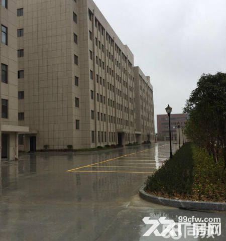 出租滨海明珠路大路边1楼店面大小都有适合五金，劳保店面