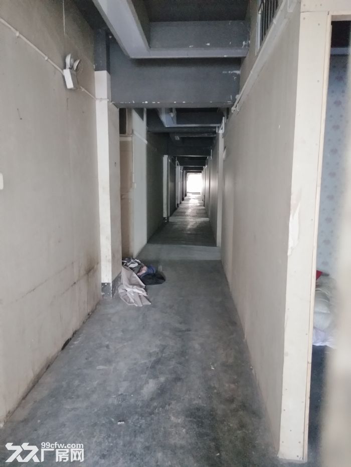 梧田宿舍600平方，可用