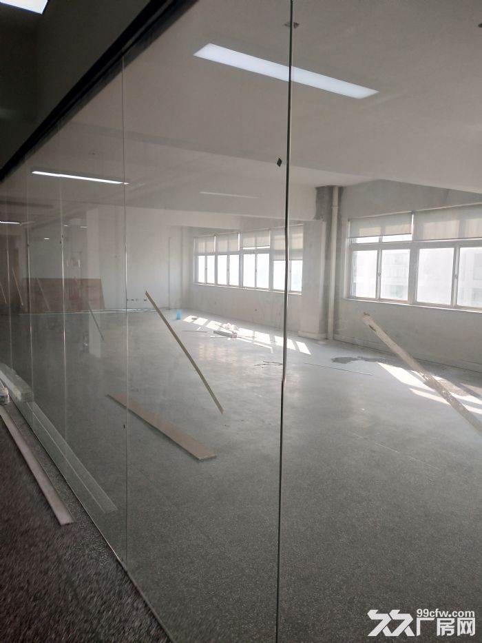 炬光园205平方，180平方，550平方，-图2