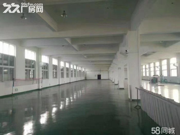 滨海独门独院12000平院子大价格15适合各种不污染行业-图2