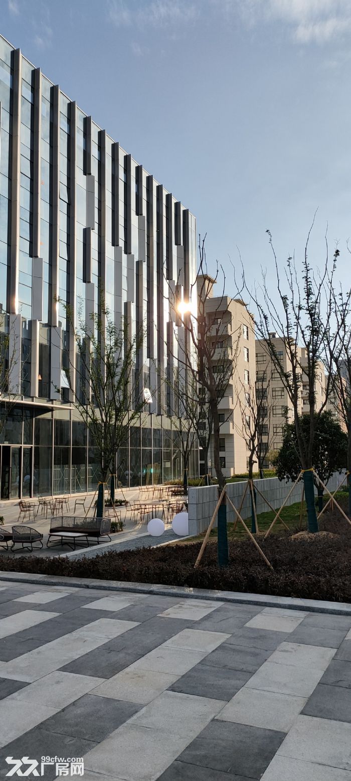 多彩中德科创园高标准厂房、宿舍、写字楼招租-图5