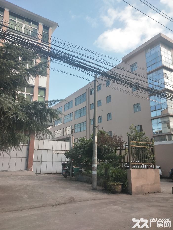 梧田工业区1100平方，适合仓库-图2