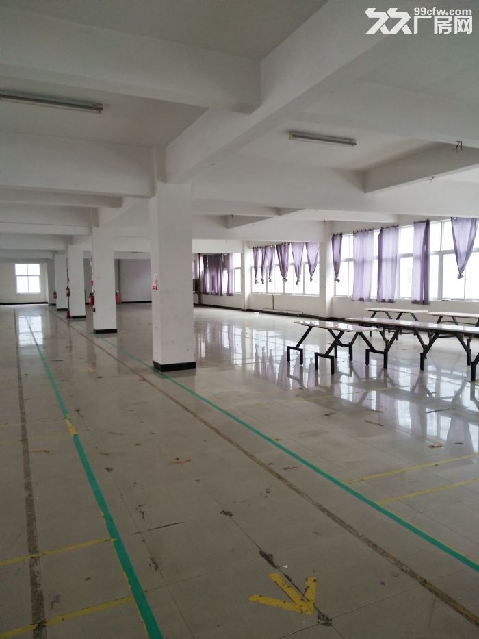 服装发展大厦1100平方，适合仓库，已腾空-图2