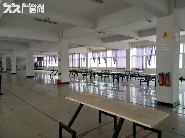 服装发展大厦1100平方，适合仓库，已腾空-图3