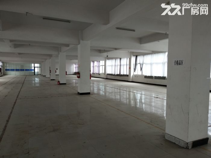 服装发展大厦1100平方，适合仓库，已腾空-图5