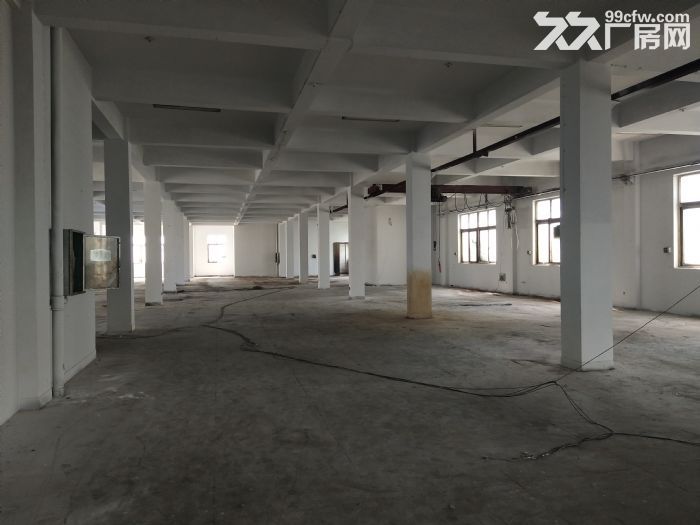 上汇标准厂房1楼1200平方