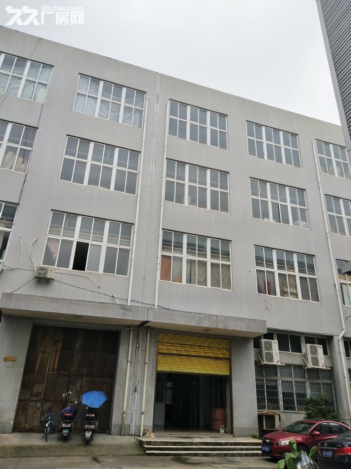 服装发展大厦2400平方，适合仓库，等行业-图3