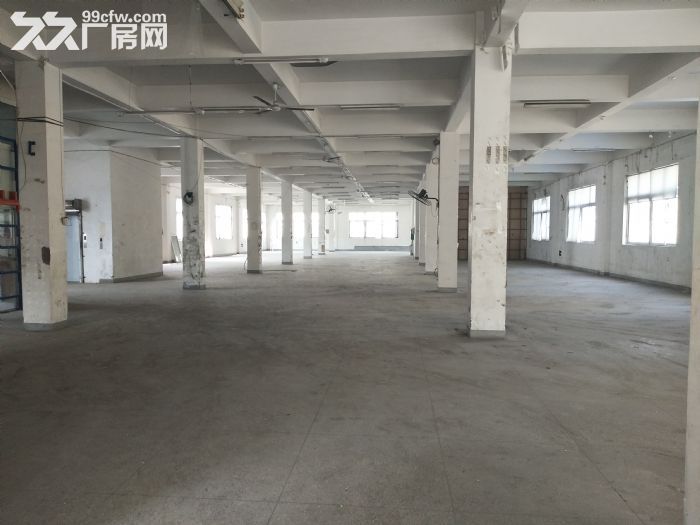 梧田炬光园2楼1000平方，层高4米，可用-图3