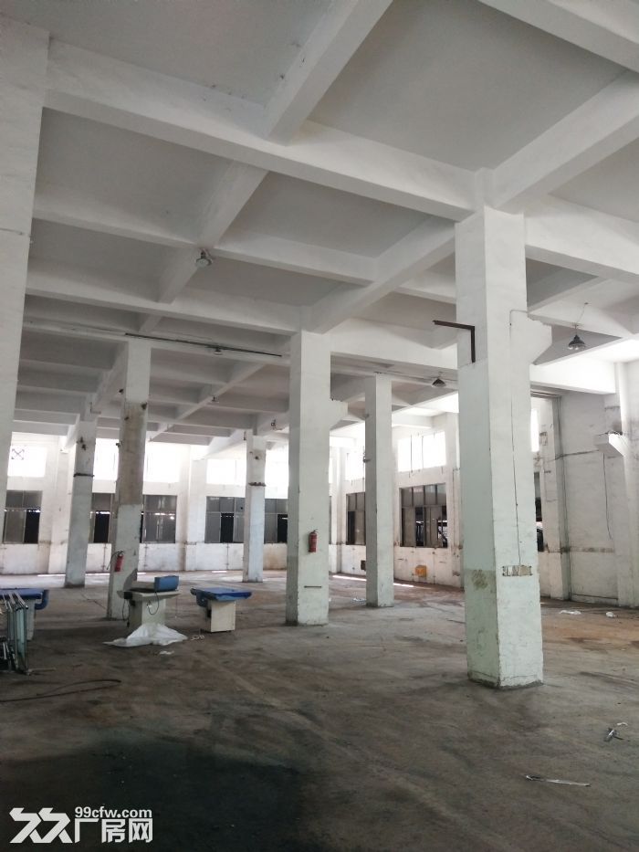 炬光园工业区1楼1200平方 适合各行业入驻 可用-图3