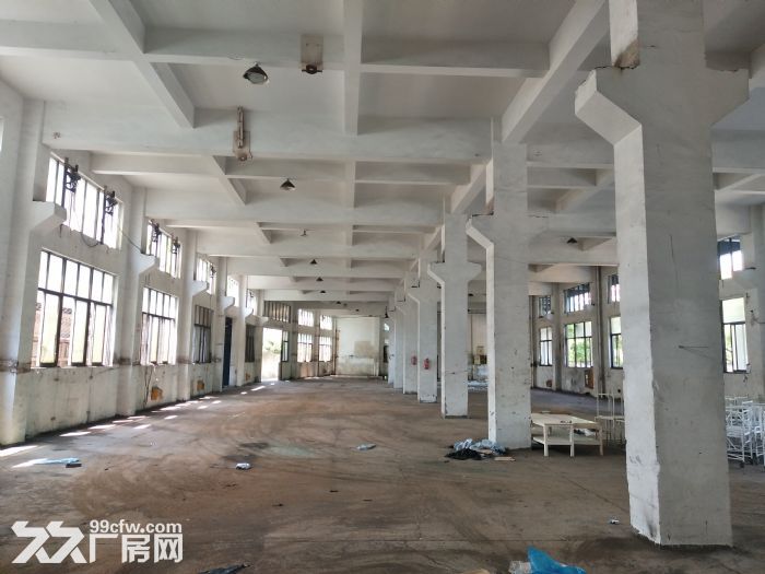 炬光园工业区1楼1200平方 适合各行业入驻 可用-图5