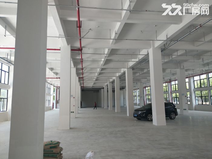 炬光园工业区1楼1200平方 适合各行业入驻 可用-图8