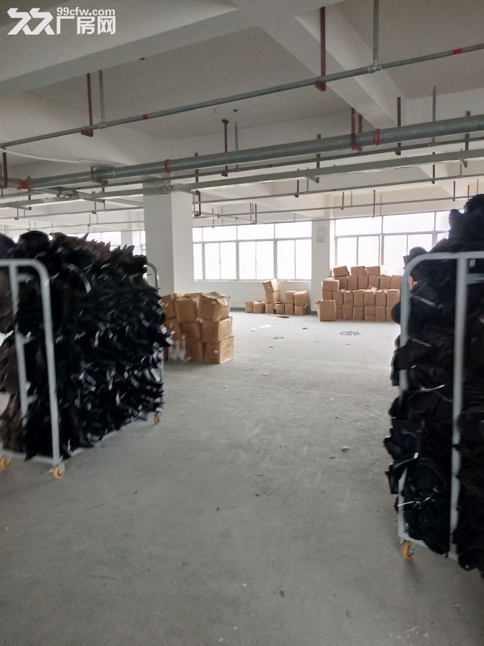 炬光园2200平方 ，宿舍600平方，-图2