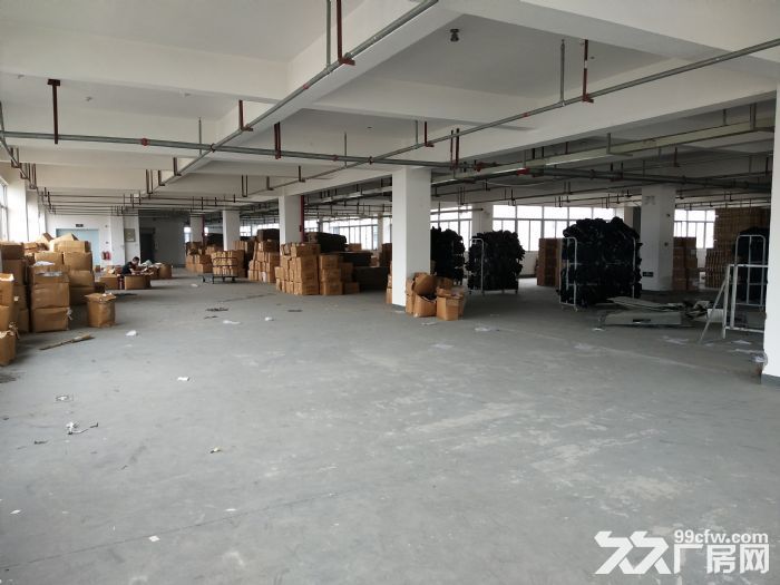 炬光园2200平方 ，宿舍600平方，-图5