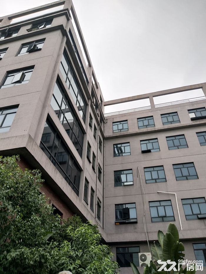 炬光园标准办公 220平方，精装修-图2