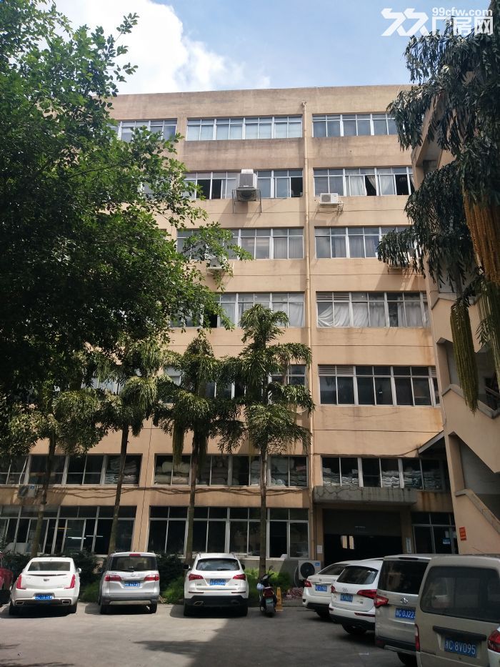 炬光园标准厂房1350平方，宿舍650平方，-图3