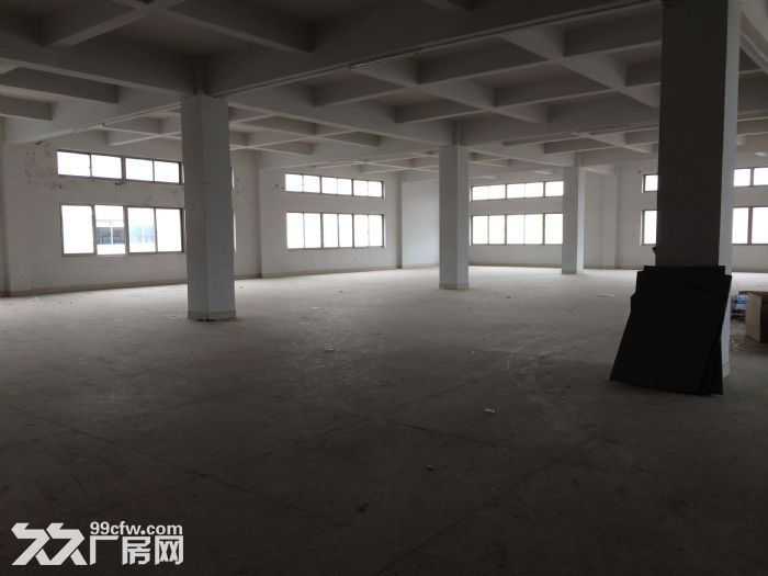 泽雅标准厂房1500平方一个层面出租适合各行各业-图2