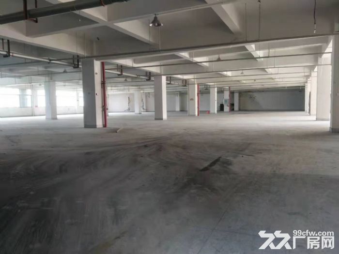 炬光园工业区3楼2600平方，可分租。马上可以用。-图4