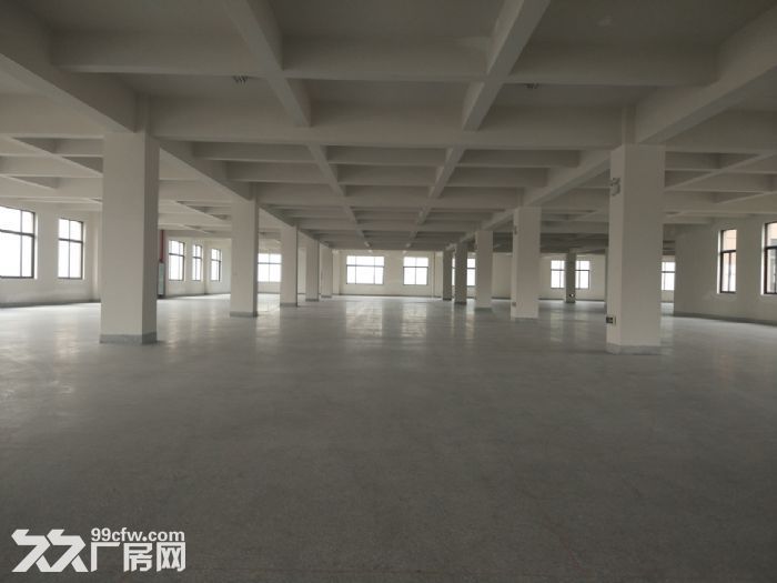 梧田工业区全新厂房3000平方 可分租。-图2