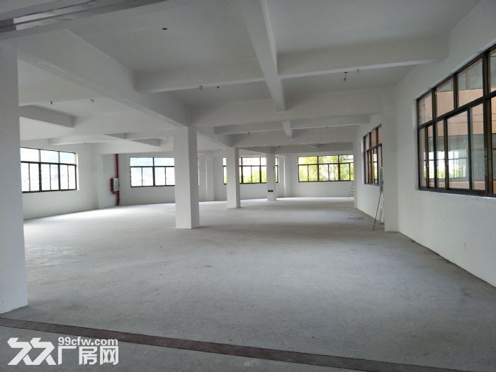 梧田工业区全新厂房3000平方 可分租。-图3