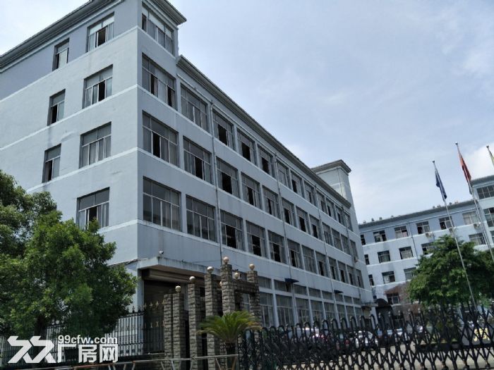 藤桥 标准厂房1800平方，1000平方，800平方出租