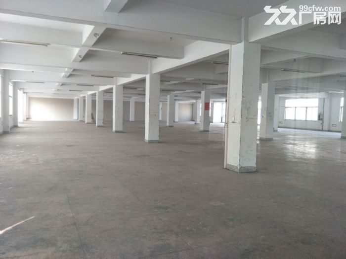 藤桥 标准厂房1800平方，1000平方，800平方出租-图2