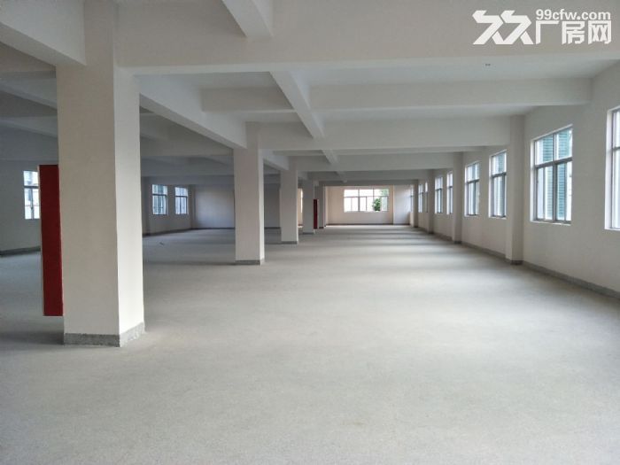 藤桥 标准厂房1800平方，1000平方，800平方出租-图3