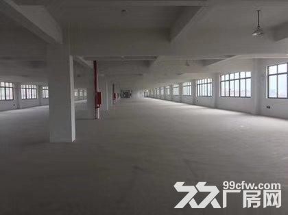 藤桥 标准厂房1800平方，1000平方，800平方出租-图5