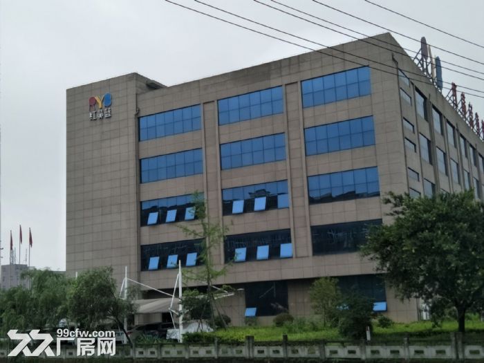 藤桥 标准厂房1800平方，1000平方，800平方出租-图6