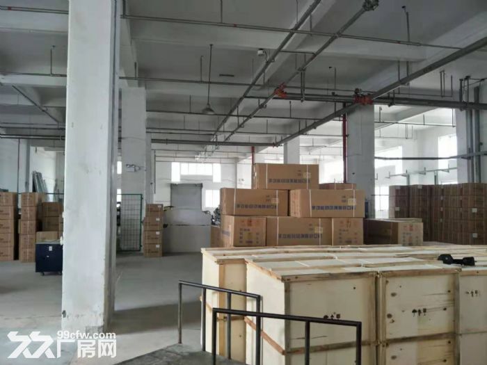 梧田工业区一楼1100平，适合仓库，五金，模具。等行业-图3