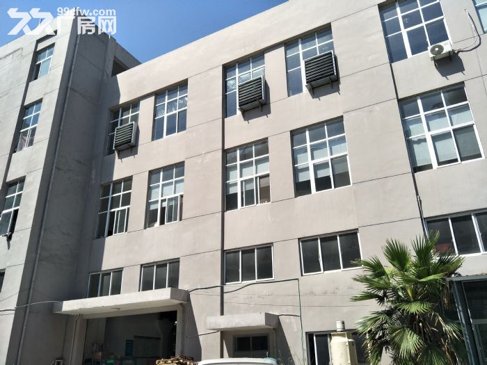 仙岩工业区标准厂房1600平方一个平面服装，眼镜，装搭等