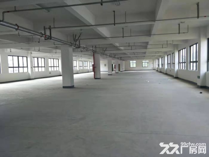 梧田工业区一楼1100平，适合仓库，五金，模具。等行业-图5