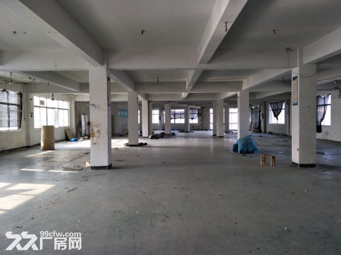 藤桥工业区7000平方独门独院标准厂房-图3