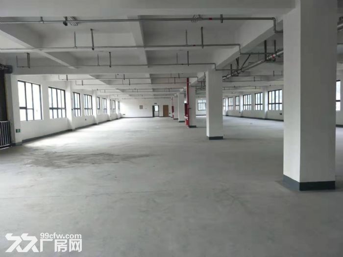梧田工业区2000平方，配宿舍。适合服装，包装等-图6